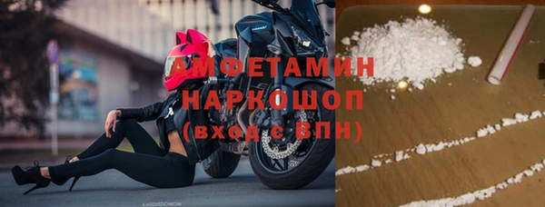 трава Осинники