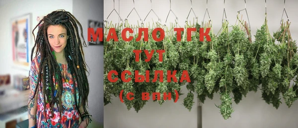 Альфа ПВП Няндома