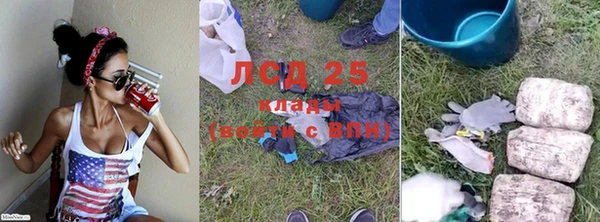 Альфа ПВП Няндома