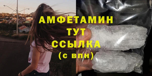Альфа ПВП Няндома