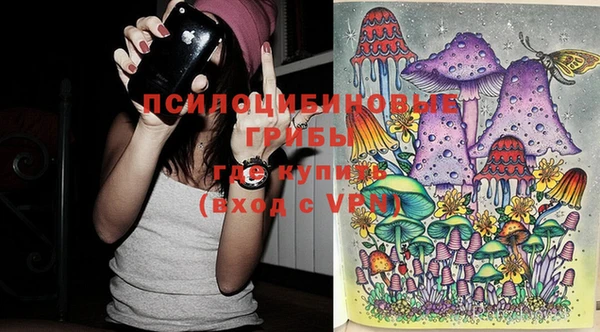 Альфа ПВП Няндома