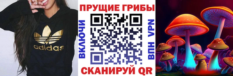 Псилоцибиновые грибы MAGIC MUSHROOMS закладка Ленинск